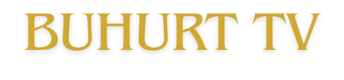Dev2 Buhurt TV